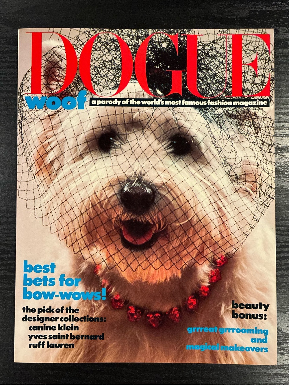 DOGUE, A parody of the world's most famous fashion magazine, by Ilene Hochberg.